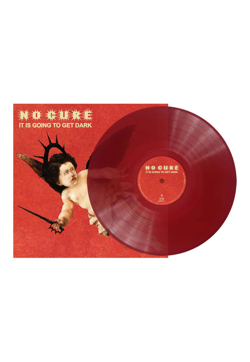 It Is Going To Get Dark LP