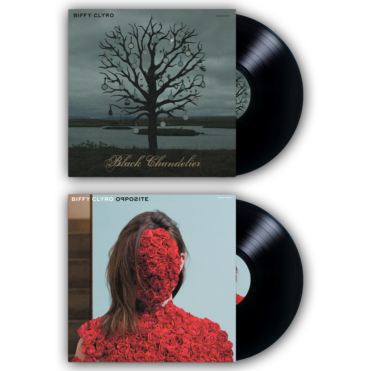 Opposites Anniversary Vinyl Bundle | Biffy Clyro – Maniacs Store