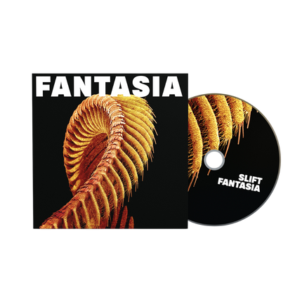 Fantasia (CD) | SLIFT