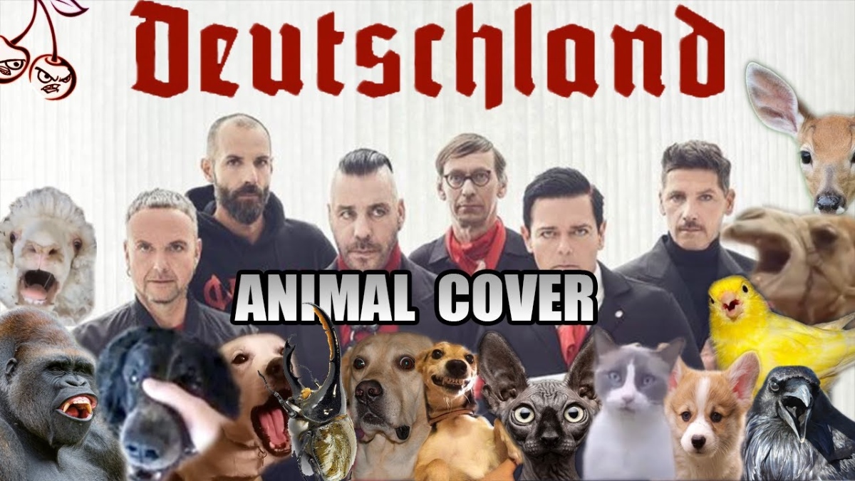 Animal Cover: Rammstein - 'Borkland'