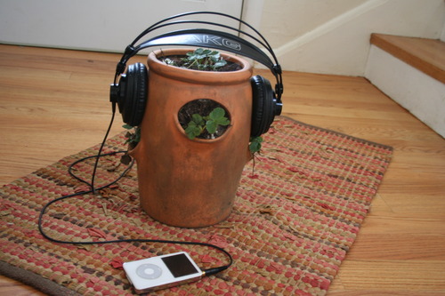 Play Metal To Your Plants!