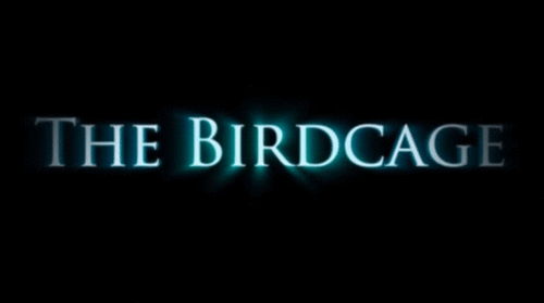 'The Birdcage' Bringing The World Of Video Games & Music Together