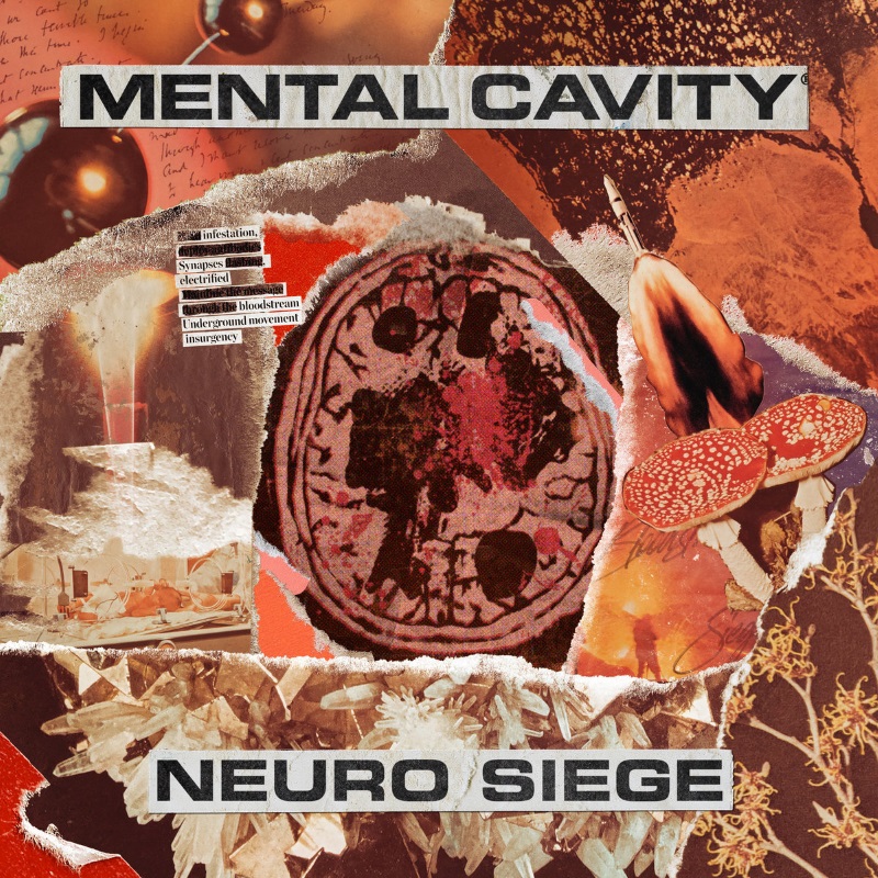 Mental Cavity