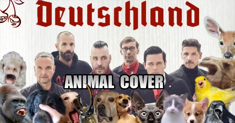 Rammstein Animal Cover