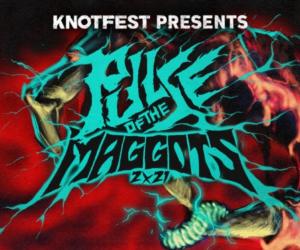 pulse of the maggots festival