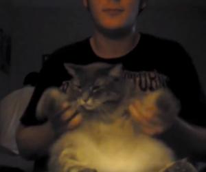 Watch This Chubby Cat Smash Through a Death Metal Drum Cover
