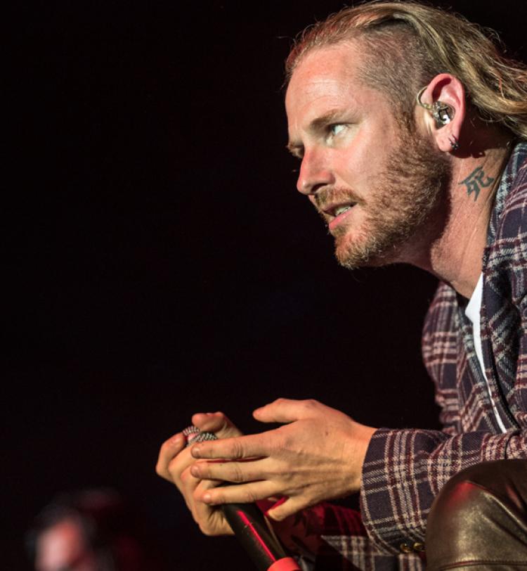 Stone Sour Live At Festival Hall